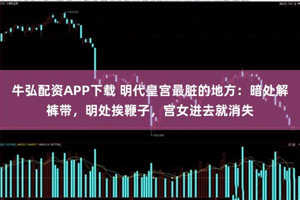 牛弘配资APP下载 明代皇宫最脏的地方:暗处解裤带,明处挨鞭子,宫女进去就消失